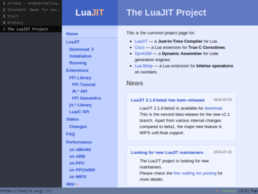 Screenshot of Luakit.